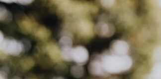 produkty kompostowalne, ekologia