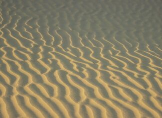 Jakie działania wpływają na podniesienie jakości pracy szkoły?