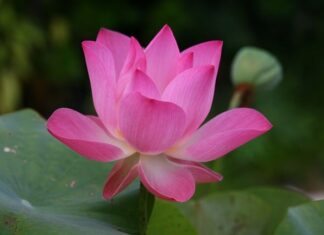 Jak się mówi po angielsku 11 30? Jak się mówi po angielsku 11 30?