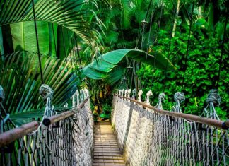 Co powinien zawierać kurs online?