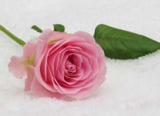 Jakie medaliki na komunię?