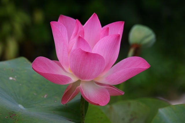 Jak się mówi po angielsku 13 00? Jak się mówi po angielsku 13 00?