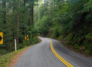 Jak prowadzić zajęcia aby były interesujące?