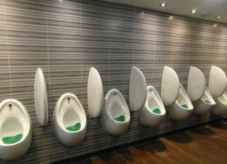 Gdzie gromadzi się mocz?