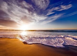 Z czym się pije białko?