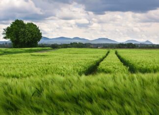 Czy wspinaczka obciąża kolana?