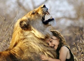 Jaka jest najlepsza opaska?