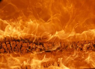 Jaka marka sportowa jest najlepsza?