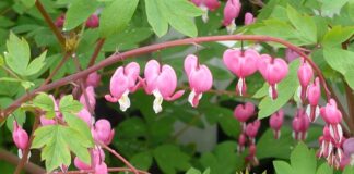 Jakie bryczesy dla dzieci?