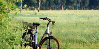 Jaki smar do e Bike?
