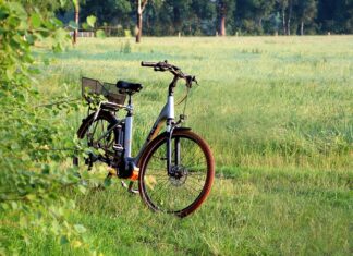 Jaki smar do e Bike?