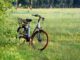 Jaki smar do e Bike?